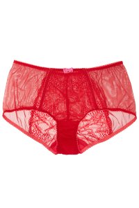 Miss Cherie high shorts panty